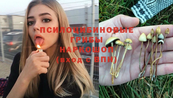 ГАЛЛЮЦИНОГЕННЫЕ ГРИБЫ Гусиноозёрск