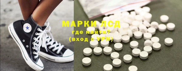 ГАЛЛЮЦИНОГЕННЫЕ ГРИБЫ Гусев