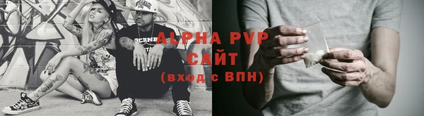 ГАЛЛЮЦИНОГЕННЫЕ ГРИБЫ Гусев