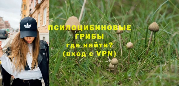 ГАЛЛЮЦИНОГЕННЫЕ ГРИБЫ Гусиноозёрск