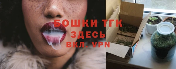 ГАЛЛЮЦИНОГЕННЫЕ ГРИБЫ Гусев