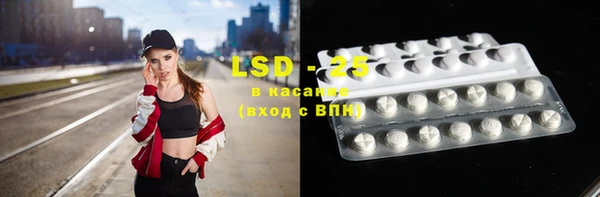 ГАЛЛЮЦИНОГЕННЫЕ ГРИБЫ Гусев