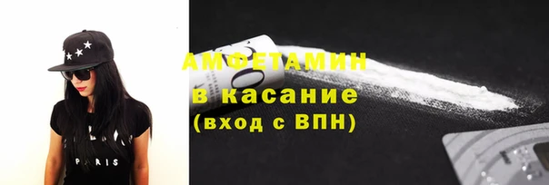 ГАЛЛЮЦИНОГЕННЫЕ ГРИБЫ Гусев