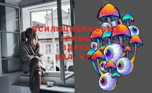 ГАЛЛЮЦИНОГЕННЫЕ ГРИБЫ Гусев