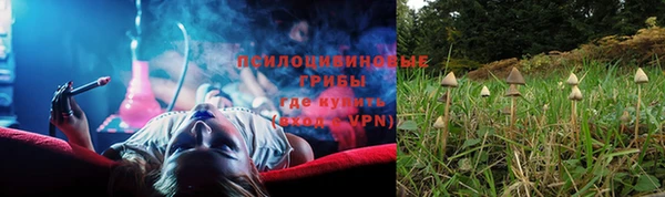 ГАЛЛЮЦИНОГЕННЫЕ ГРИБЫ Гусев