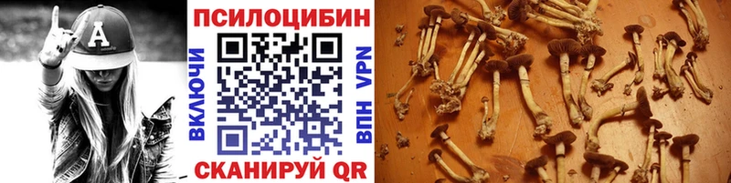Псилоцибиновые грибы ЛСД  магазин  наркотиков  Заринск 